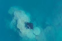 Raiatea Island or Taha'a Boat Tour