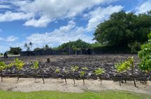 Raiatea Island or Taha'a Boat Tour