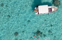 Boat tour of Taha'a Island and its lagoon
