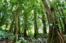 Raiatea Island or Taha'a Boat Tour