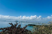 Da Nang Highlight and Hidden Gems Marble Mountain and Lady Buddha