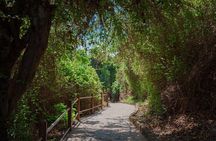 From Paphos Highlight Tour with Baths of Aphrodite & Blue Lagoon 