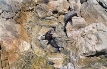 Dunsborough Eco and Snorkel Boat Tour 