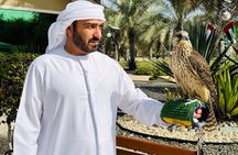  Falcon Hospital Tour with Transportation 