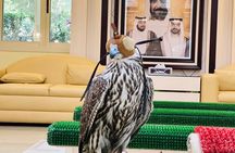  Falcon Hospital Tour with Transportation 