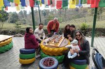 Palampur Tea Garden Tour