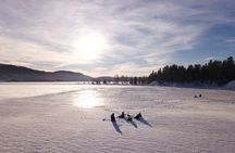 The Southern Norwegian Winter Wonderland Experience