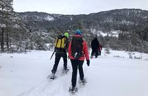 The Southern Norwegian Winter Wonderland Experience