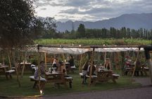 Visit Cassone and Kaiken Wineries with Lunch at Francis Mallmann