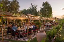 Visit Cassone and Kaiken Wineries with Lunch at Francis Mallmann