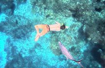 Private Snorkeling Tour on 3 Sites in Cozumel 