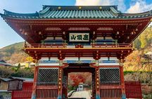 OSAKA: Full-Day Sightseeing Tour by Private Vehicle
