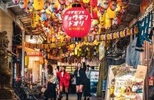 OSAKA: Full-Day Sightseeing Tour by Private Vehicle