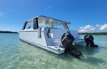 Half Day Private Power Cat Charter