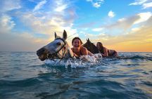 Zakytnhos Horse Riding Swimming Experience