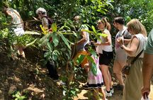 14 Days Sri Lanka Guided Tour - All In One Package 