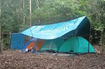 4-Day Amazon Wildlife Tour in Pacaya Samiria National Reserve from Iquitos, Peru