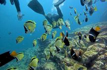 Private Snorkeling Boat Charter