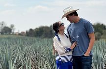 Tequilero Tour with Horseback Riding