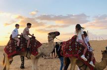 Vip Dubai Desert Safari with Camel Riding,BBQ Dinner 