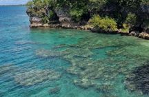 Snorkeling at Top Rock with Yumi Tours