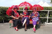 Napier Art Deco Highlights with Transportation and Guide Included