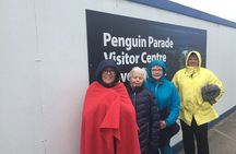 Private Penguin Tour includes Tour Guide & Penguin Plus Tickets 