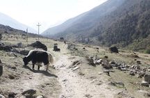 Langtang Trek from Kathmandu 7 Days