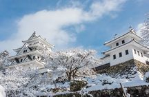 Gujo, Hida Takayama, and Shirakawa-go Day Tour from Nagoya