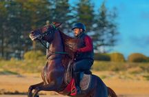 Horseback riding in Haouzia