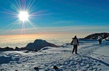 7 Days Mountain Kilimanjaro via Machame Route (Whiskey route)