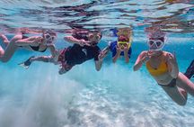 Private Bonaire South & Snorkeling Experience