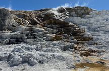 Private Yellowstone Park Van Tours from Bozeman and Big Sky