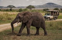 4 Days Tarangire Serengeti Ngorongoro Crater