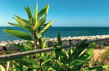 Private Half Day Tour Sousse medina, Kantaoui and Hergla