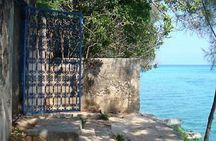 Prison Island and Zanzibar Stone Town Experience