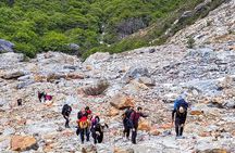 Trekking to Ojo del Albino Glacier