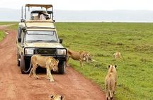5 Day Camping Tarangire Serengeti Ngorongoro and Maasai Tour