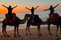 Sunset Camel Ride on Achakkar Beach
