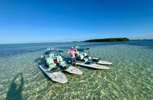 2 Hour Key West Mini Catamaran Eco Tour