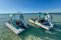 2 Hour Key West Mini Catamaran Eco Tour