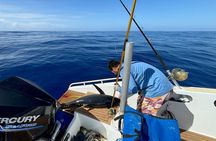 Exit fishing wholesale 