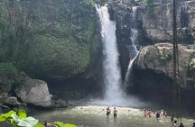 Best of Ubud: Monkey Forest, Rice terrace, Waterfalll, Temple