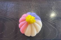 Yanaka Japanese Sweets Making and Tea time Homely and Local Style