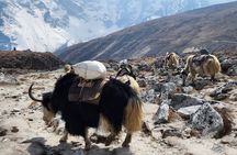 Everest Base Camp Trek from Kathmandu 12 Days