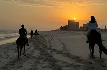 Horse riding by the beach Salalah 