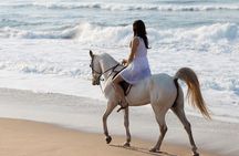 Horse riding by the beach Salalah 