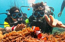 Phuket Dive Trip Maithon Island 2 Dives Small Group Experience