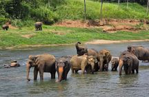 12 Days Tour Grand Discovery of Sri Lanka