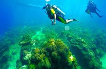 Phuket Dive Trip Maithon Island 2 Dives Small Group Experience
